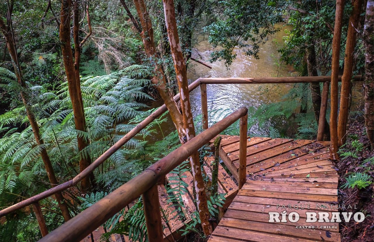 Parque Natural Rio Bravo Lodge Castro Εξωτερικό φωτογραφία